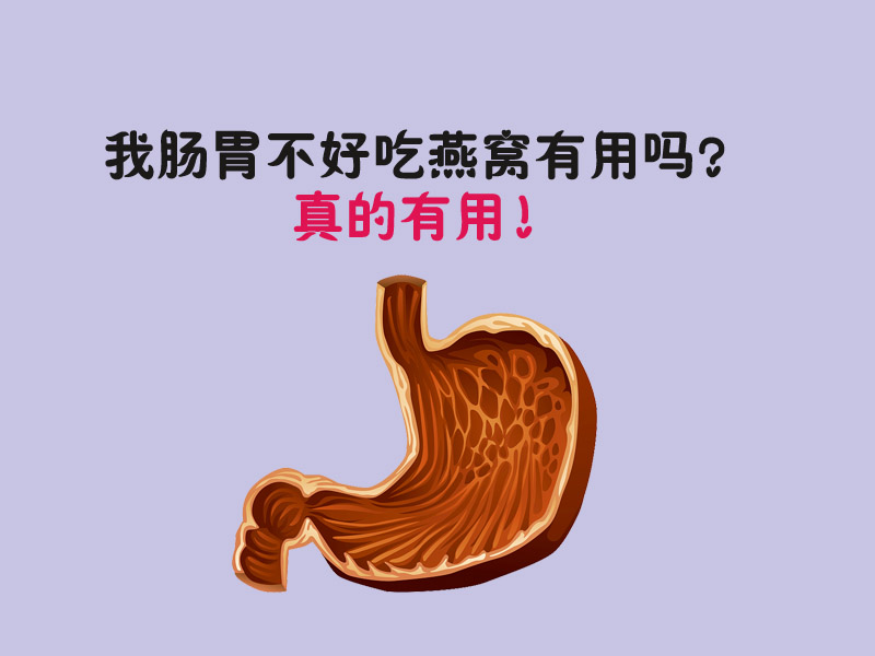 【燕窩養生】腸胃不好吃燕窩會不會有效果？！