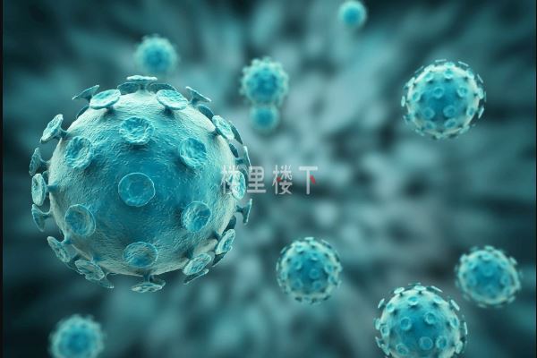 1544505658776365.jpg 截圖01.jpg