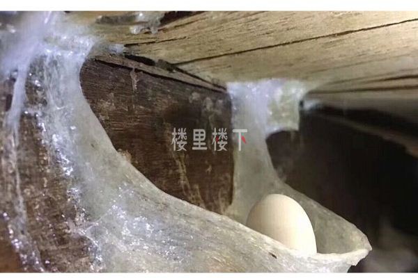 1557305115771084.jpg 截圖40.jpg