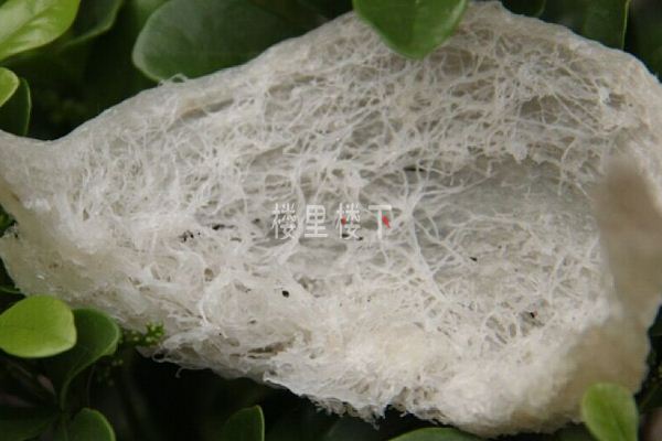 1557305141440855.jpg 截圖39.jpg