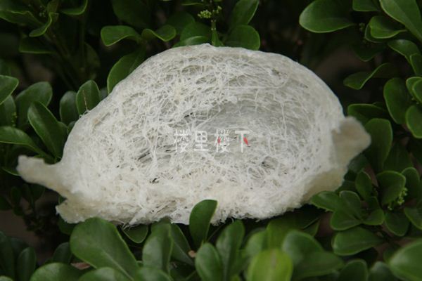 1557305181821783.jpg 截圖37.jpg