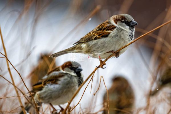 1571278604555396.jpg 截圖00.jpg