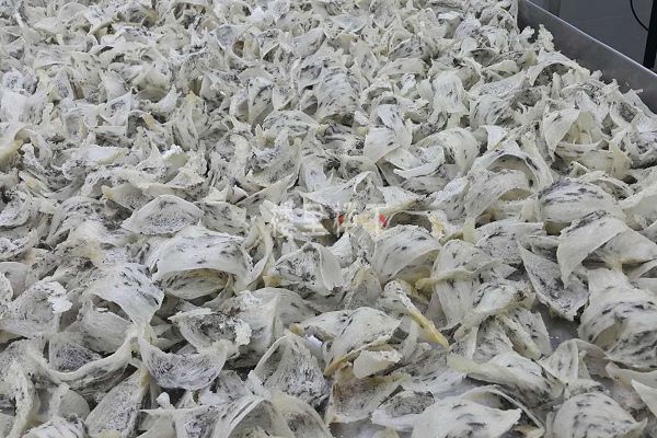 1583634700832623.jpg 截圖02.jpg