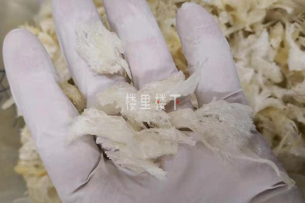 1583635788910124.jpg 截圖11.jpg