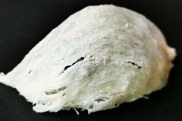 1583666723216162.jpg 截圖24.jpg