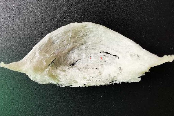 1583666730939269.jpg 截圖25.jpg