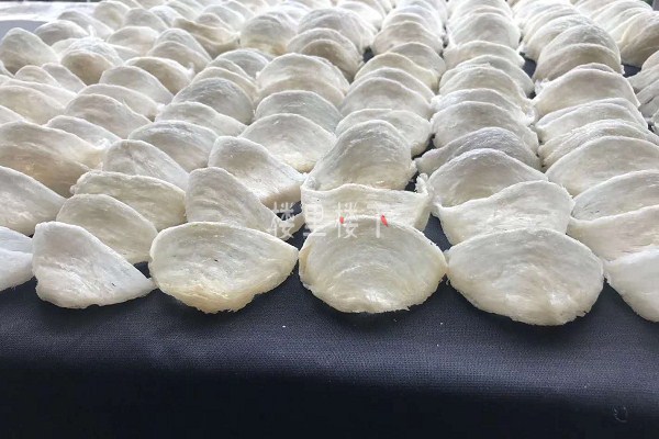 1587348680385706.jpg 截圖03.jpg