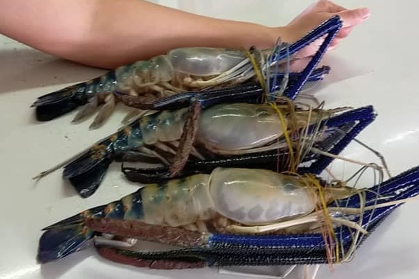 1652700084432553.jpg 2022-05-14_12-49-14.jpg