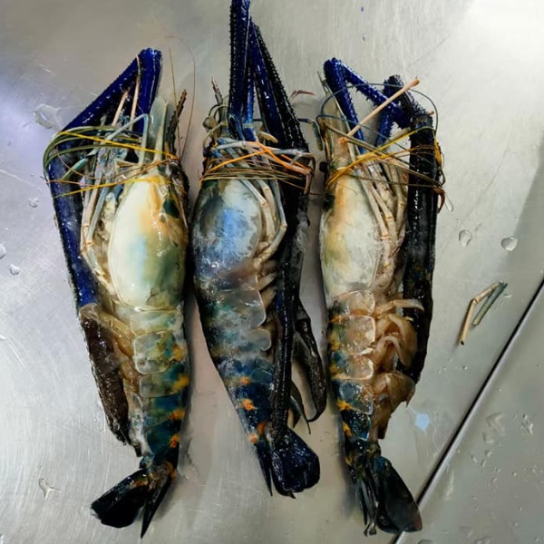 1652700090684531.jpg 2022-05-14_12-50-08.jpg