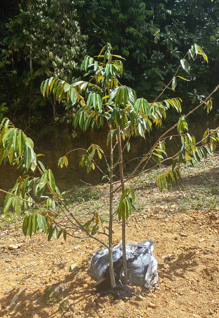 1686027613990639.jpg 截圖29.jpg