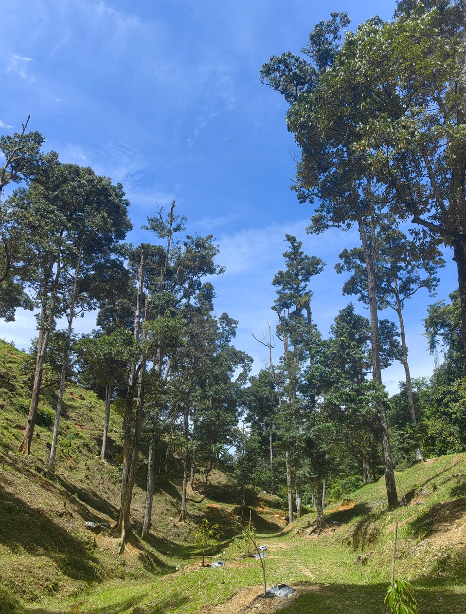 1686027632225212.jpg 截圖28.jpg