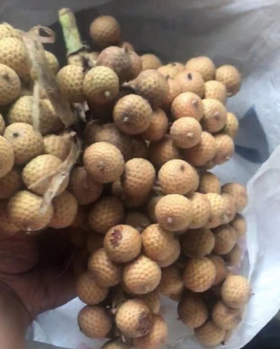 1696568268160007.jpg 截圖04.jpg