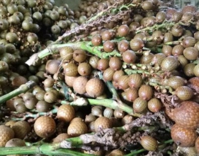 1696568284263922.jpg 截圖07.jpg