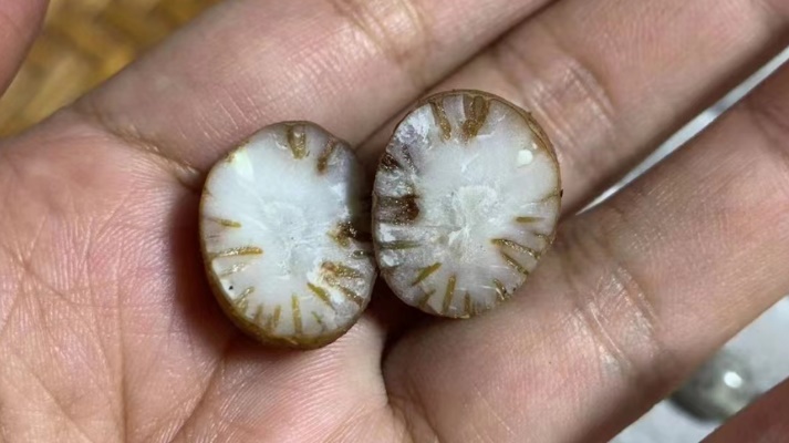 1696568388707401.jpg 截圖09.jpg