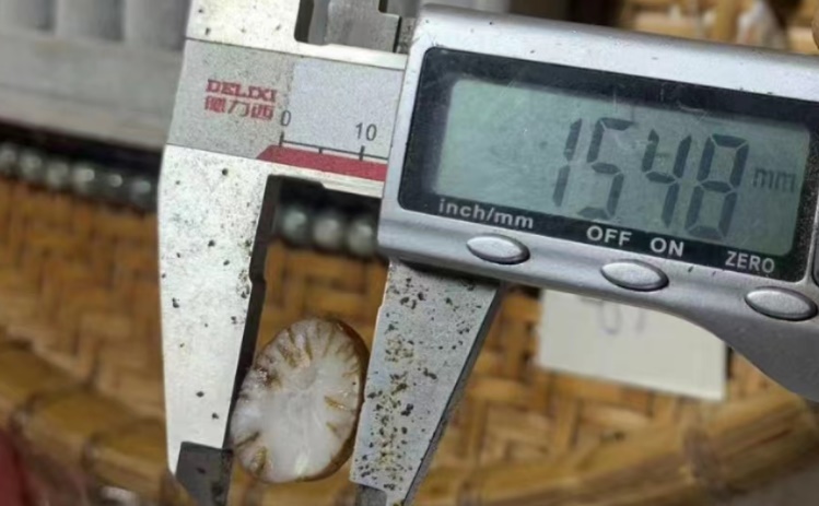 1696568392684403.jpg 截圖10.jpg